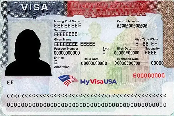 Myvisausa Tu Tr Mite De Visa F Cil Y Confiable Desde Casa